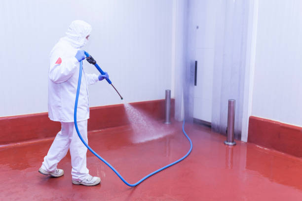 Best Gutter Cleaning and Brightening in Woodmere, NY